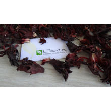 Nigerian Hibiscus Supplier